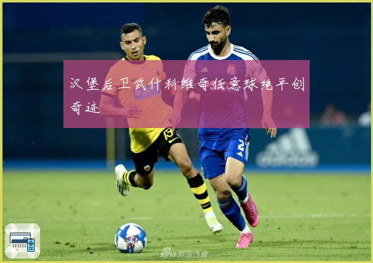 汉堡后卫武什科维奇任意球绝平创奇迹